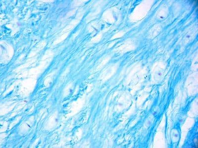 Research and reference images