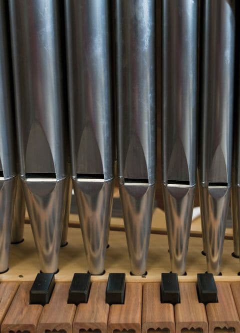 Research and reference images