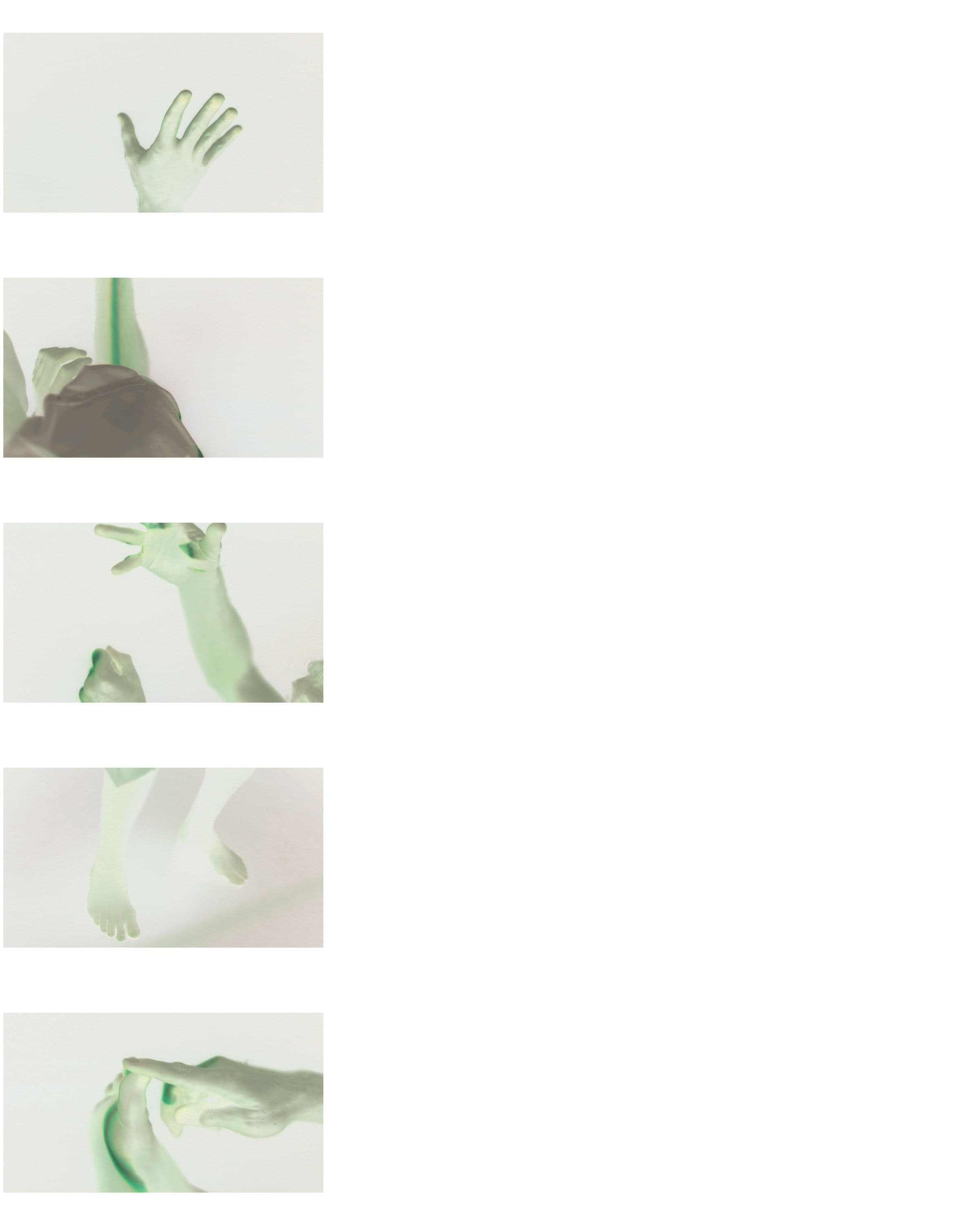 Research and reference images